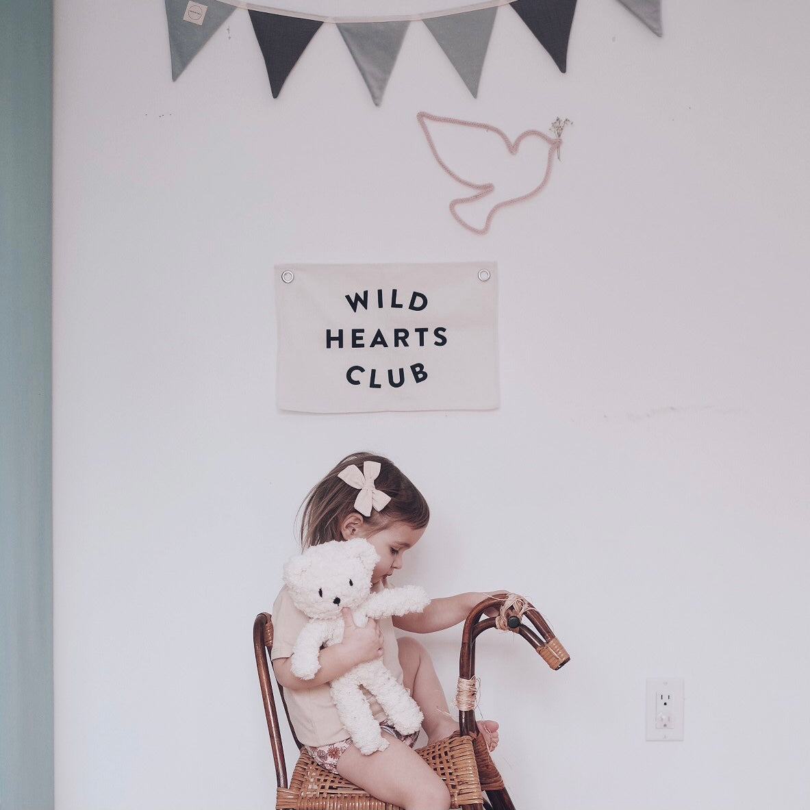 Wild Hearts Club Banner